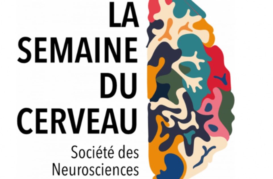 La-semaine-du-cerveau-2024